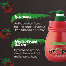 Load image into Gallery viewer, Lycopene Shampoo