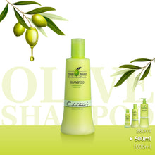 Load image into Gallery viewer, Olive Shampoo