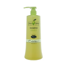 Load image into Gallery viewer, Olive Shampoo (Sulfate free/ Paraben free/ Sodium chloride free)