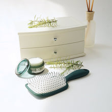 Load image into Gallery viewer, SH-RD Detangle Scalp Massage Paddle Brush