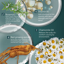Load image into Gallery viewer, SH-RD Red-Ginseng Hair-Activating Shampoo (6.76oz/200ml)