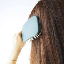 Load image into Gallery viewer, SH-RD Detangle Scalp Massage Paddle Brush
