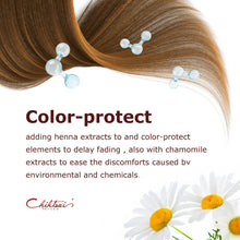 Load image into Gallery viewer, Armoa Rose Shampoo
