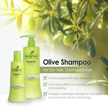 Load image into Gallery viewer, Olive Shampoo
