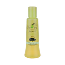 Load image into Gallery viewer, Olive Shampoo (Sulfate free/ Paraben free/ Sodium chloride free)
