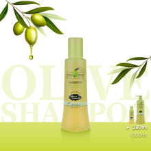 Load image into Gallery viewer, Olive Shampoo (Sulfate free/ Paraben free/ Sodium chloride free)
