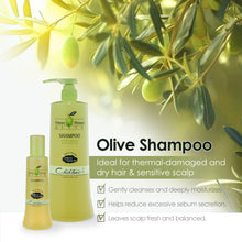 Load image into Gallery viewer, Olive Shampoo (Sulfate free/ Paraben free/ Sodium chloride free)
