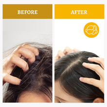 Load image into Gallery viewer, SH-RD Truffle Moisturizing Shampoo (6.76oz/200ml)
