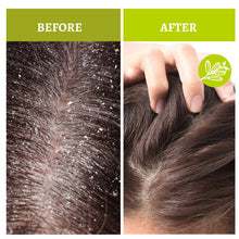 Load image into Gallery viewer, SH-RD Sage Purifying Shampoo (6.76oz/200ml)
